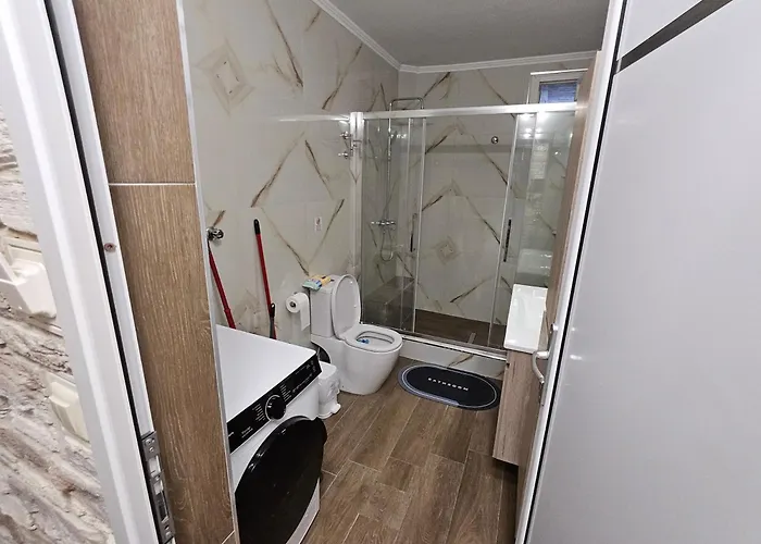 Anesis * Leptokaryá